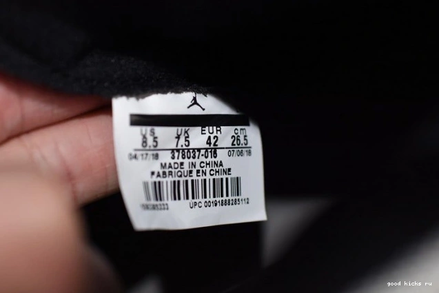 Tint Jordan Platinum 11 Air Retro 378037-016 0629